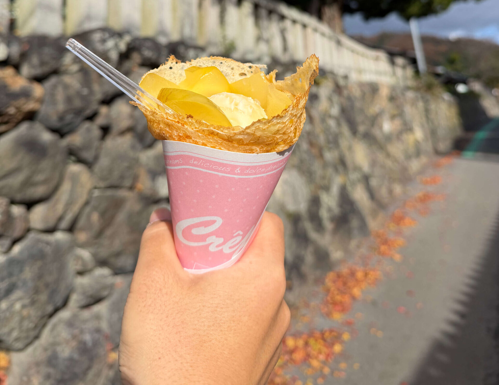 atR48_あたらしや_木之本_テイクアウト