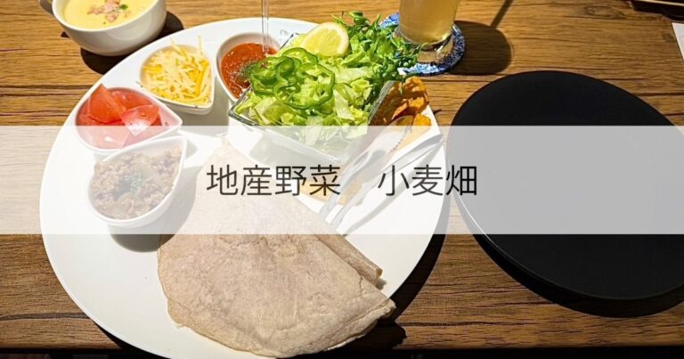 地産野菜_小麦畑