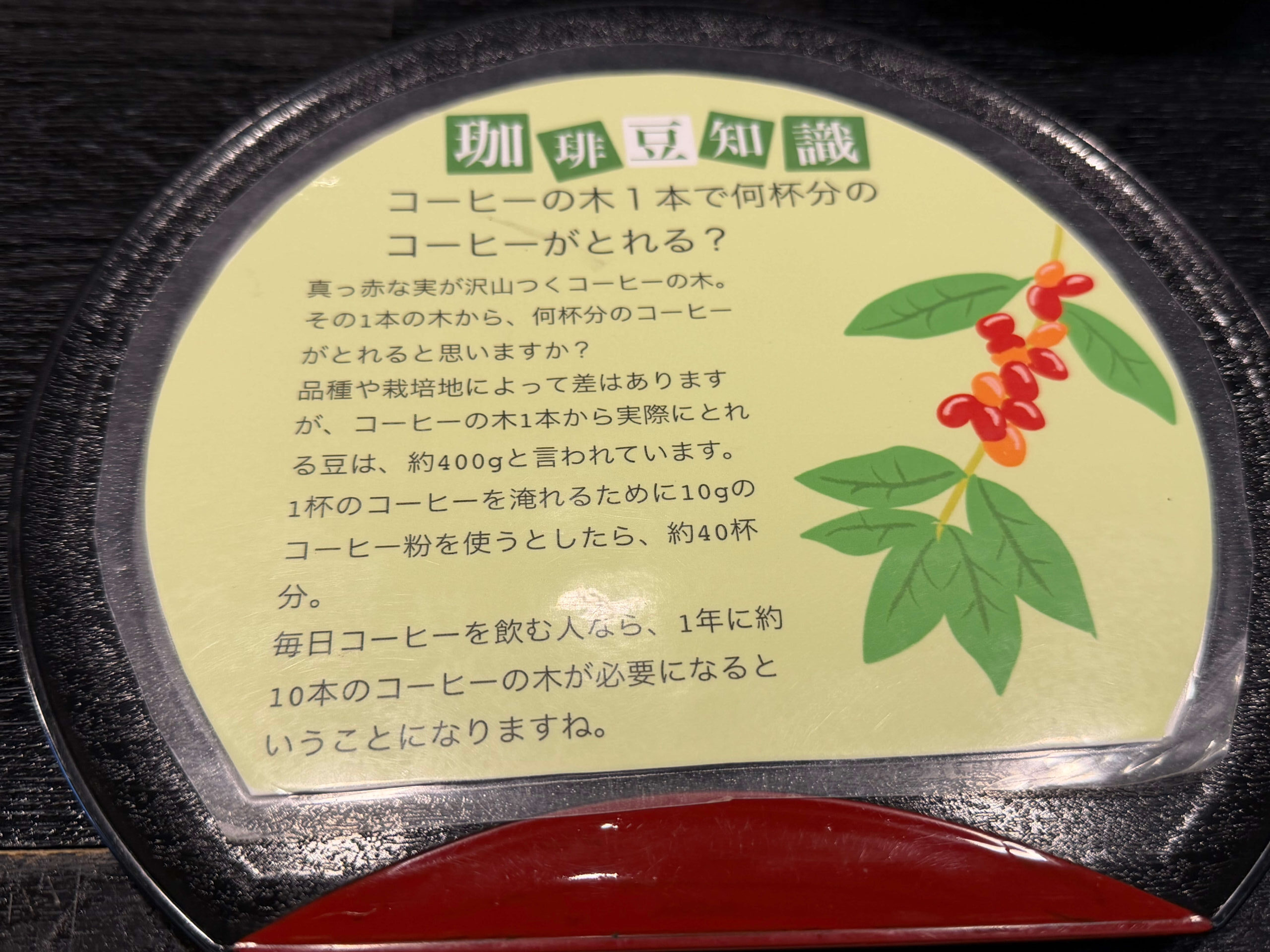 珈琲院ロマン亭_コーヒー豆知識